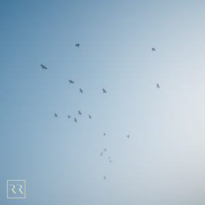 亚洲综合极品香蕉久久网
