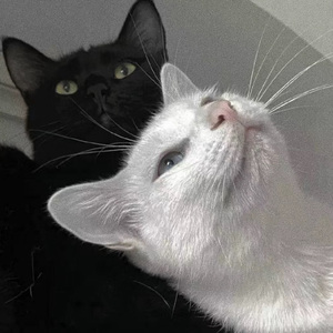 亚洲综合极品香蕉久久网
